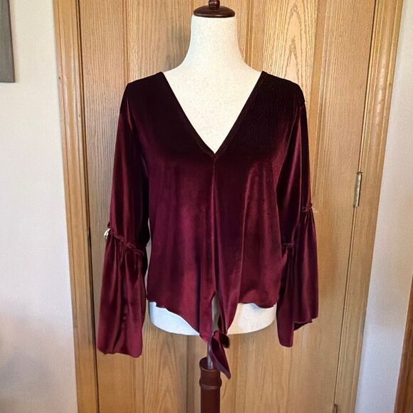 Lavender Field Velvet Bell Sleeve V-Neck Top Large - Picture 2 of 5